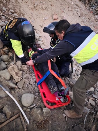 SERENAZGO DE POCOLLAY RESCATÓ CON ÉXITO A ADULTA MAYOR QUE CAYÓ A UNA QUEBRADA