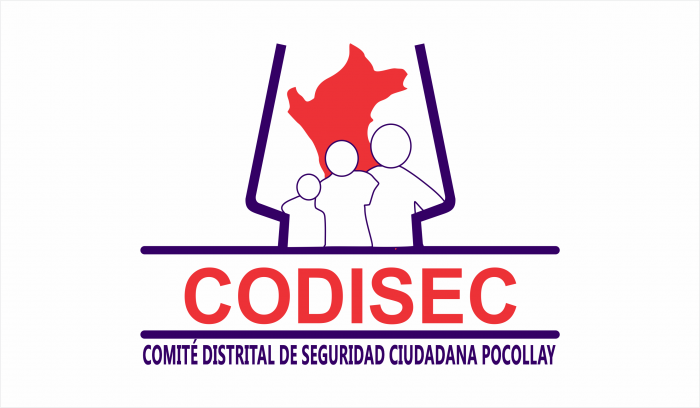 CODISEC PAG 2
